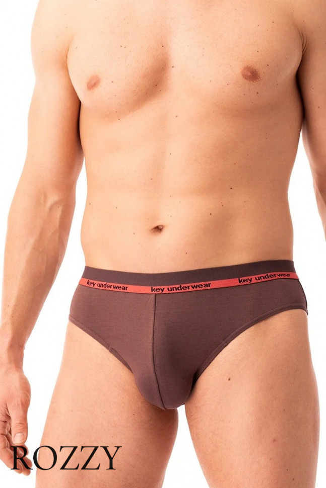 Трусы слипы мужские Key MPP 287 черный/коричневый (уп.2шт.)