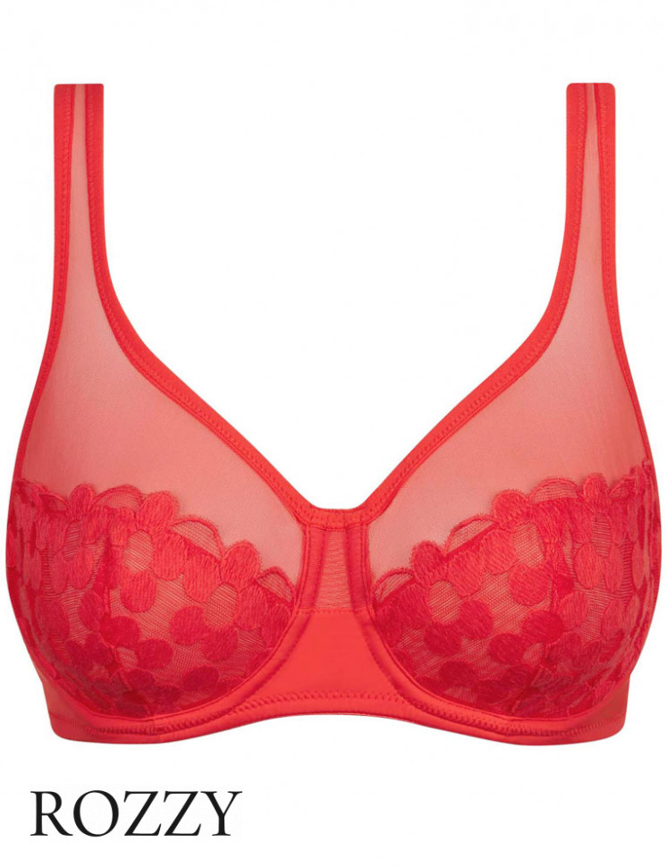 Бюстгальтер DIM Generous Broderie 0ASD яблоко любви