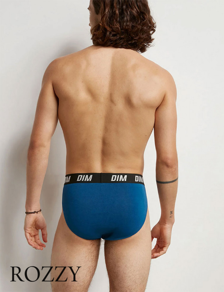 Трусы слипы мужские DIM 0DA9 синий/серый (уп.2шт.)