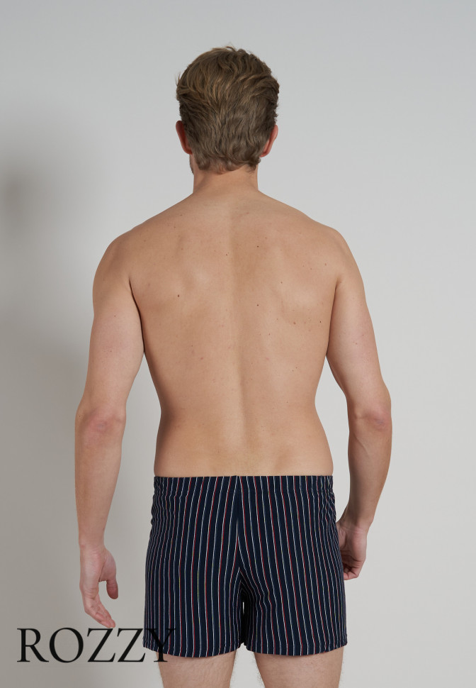 Трусы боксеры мужские Ceceba 002260/M-XXL синий/красная полоска (уп.2шт.)